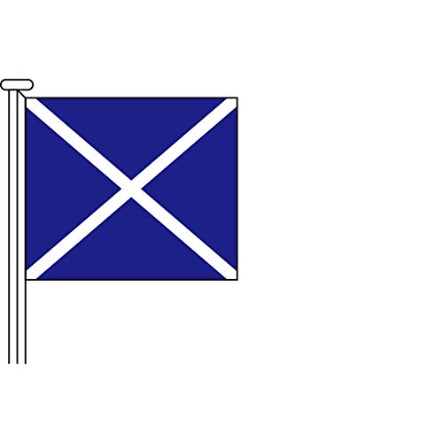Amazon.co.jp: 国際信号旗 文字旗 Alphabetical Flags【M】[ヨット用